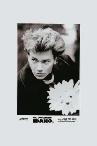 Poster to the movie "My Own Private Idaho" #975874