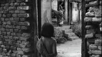 Backdrop to the movie "Pather Panchali" #827480