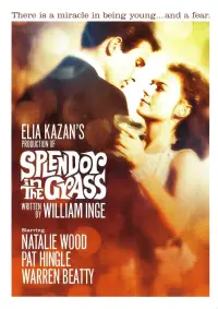 Poster to the movie "Splendor in the Grass" #1143506
