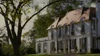 Backdrop to the movie "Stoker" #823949