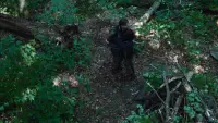 Backdrop to the movie "The Hunger Games" #766917