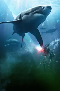 Poster to the movie "47 Meters Down" #691507