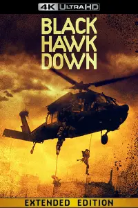 Poster to the movie "Black Hawk Down" #930551