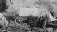 Backdrop to the movie "The Covered Wagon" #844246