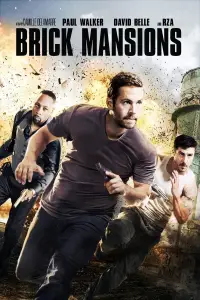 Poster to the movie "Brick Mansions" #985674