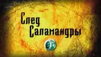 Backdrop to the movie "След саламандры" #839579