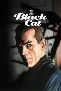 Poster to the movie "The Black Cat" #979715