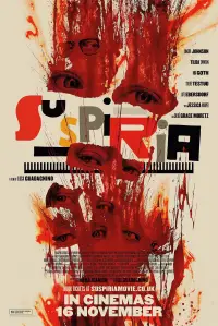 Poster to the movie "Suspiria" #671104