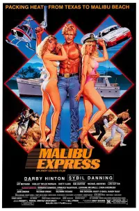Poster to the movie "Malibu Express" #957653