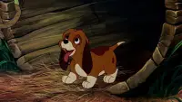 Backdrop to the movie "The Fox and the Hound" #1074610
