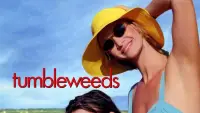 Backdrop to the movie "Tumbleweeds" #880558