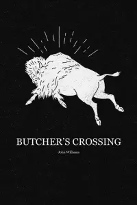 Poster to the movie "Butcher