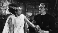 Backdrop to the movie "The Bride of Frankenstein" #809030