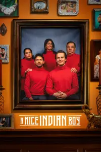 Poster to the movie "A Nice Indian Boy" #923953