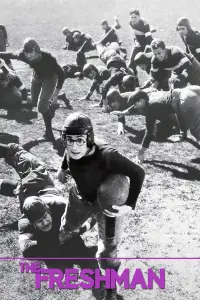 Poster to the movie "The Freshman" #1112350