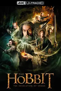 Poster to the movie "The Hobbit: The Desolation of Smaug" #912267