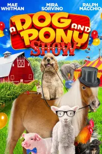 Poster to the movie "A Dog and Pony Show" #1161609