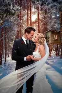 Poster to the movie "Another Sweet Christmas" #1139643