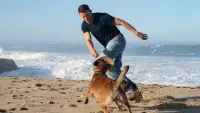 Backdrop to the movie "Dog" #888994