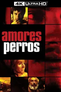 Poster to the movie "Amores Perros" #1059384