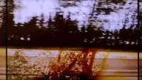 Backdrop to the movie "Grasping The Stance Of Witness" #769493