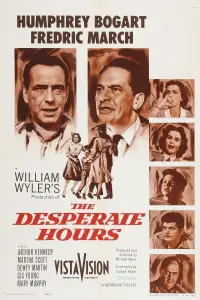 Poster to the movie "The Desperate Hours" #719511