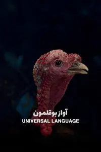 Poster to the movie "Universal Language" #983889