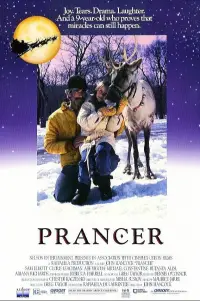 Poster to the movie "Prancer" #1108621
