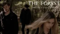 Backdrop to the movie "The Forest" #539719