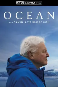Poster to the movie "Ocean with David Attenborough" #617871
