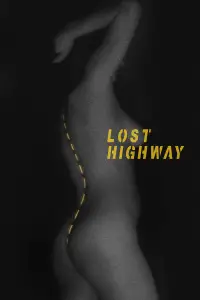 Poster to the movie "Lost Highway" #533701