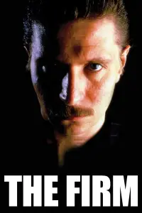 Poster to the movie "The Firm" #1019671