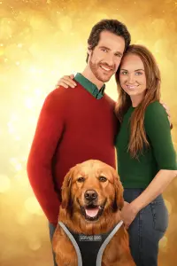 My Christmas Guide