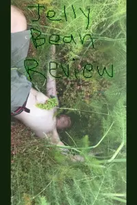 Poster to the movie "Jelly Bean Review" #531469
