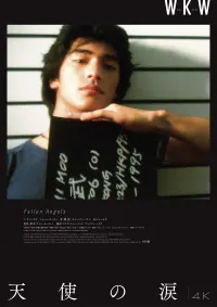 Poster to the movie "Fallen Angels" #743476
