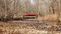 Backdrop to the movie "Kindling" #369608