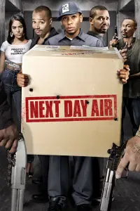 Poster to the movie "Next Day Air" #1146374