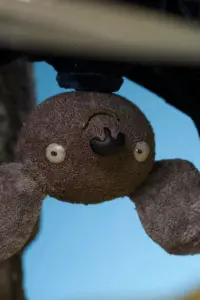 Upside Down