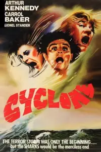 Poster to the movie "Cyclone" #1042258
