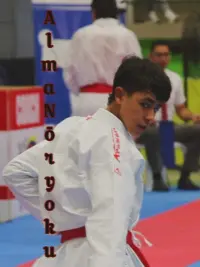 Poster to the movie "ALMA NŌRYOKU" #511088