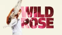 Backdrop to the movie "Wild Rose" #261486