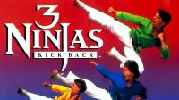 Backdrop to the movie "3 Ninjas Kick Back" #117262