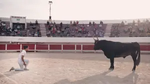 Backdrop to the movie "Animale" #599427