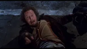 Backdrop to the movie "Home Alone 2: Lost in New York" #567156