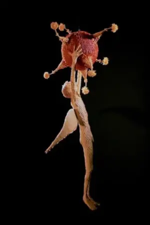 Piñatas of Earthly Delights