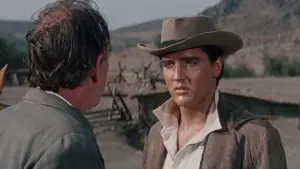 Backdrop to the movie "Flaming Star" #462500