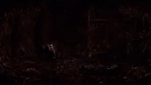 Backdrop to the movie "Silent Hill" #772335