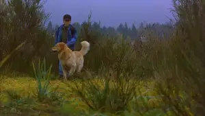 Backdrop to the movie "Air Bud" #950734