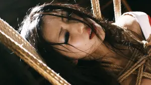 Backdrop to the movie "Sweet Whip" #327278