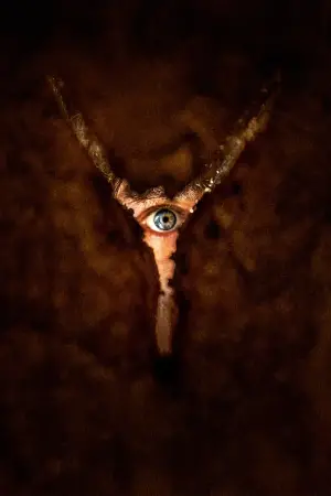 Poster to the movie "Return to Silent Hill" #508970